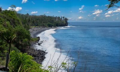 Amed Bali